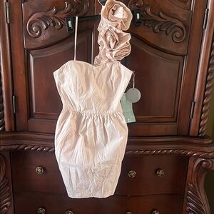 Pearl One Shoulder Dress in Light Pink